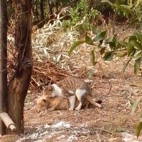 /photo/689123/my photo/12_1_5_small.jpg